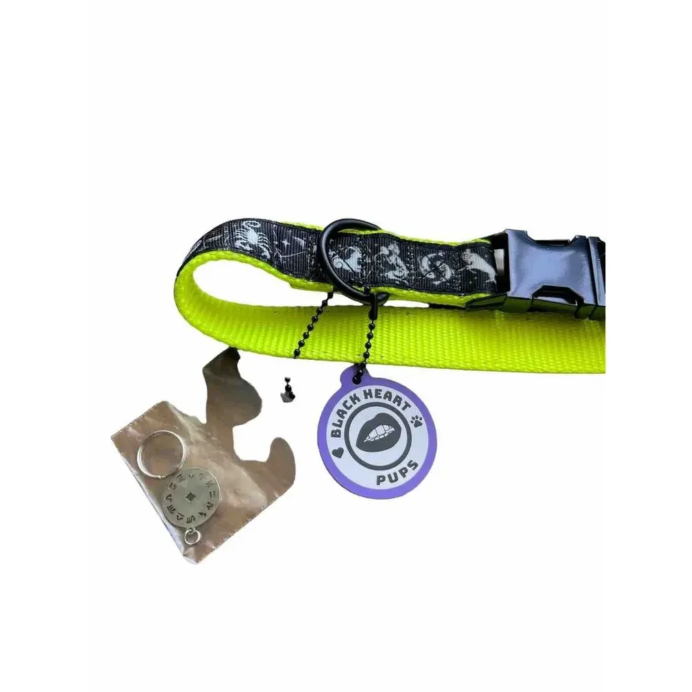 Orion Dog Collar Zodiac Astrology Neon Yellow Size Small New With Tags
